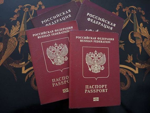 прописка в Невеле